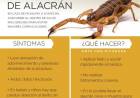 Consejos ante picaduras de alacranes e insectos ponzoñosos