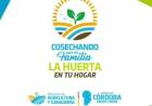 Programa Huerta en tu Hogar: 60.000 cordobeses dispondrán de semillas