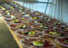 Confirman para agosto la Fiesta Nacional del Salame de Oncativo