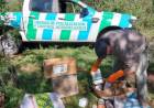 Desarticularon un “basural a cielo abierto” ilegal en un campo de Calamuchita
