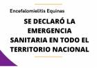 Emergencia sanitaria en todo el país por Encefalomielitis Equina