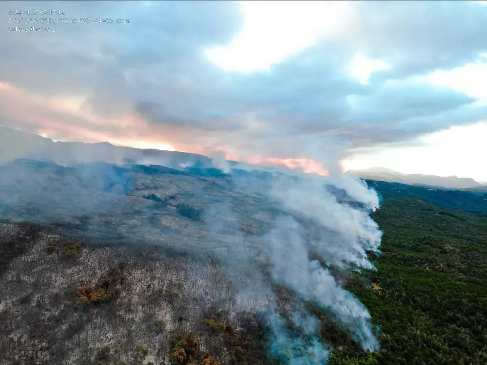 Nación suma 60 brigadistas y un avión observador para contener el incendio en el Parque Los Alerces