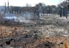 Incendios: declaran contenido el foco de Molinari
