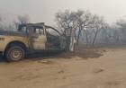 INCENDIOS FORESTALES: Alerta extremo y dos focos activos