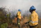 Incendios: siguen las llamas en Quebrada de La Mermela con dos cabezas por los cambios de viento