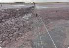 Por las altísimas temperaturas y escasas lluvias se secó una laguna en el sur cordobés