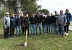 Se plantaron 40 nuevos ejemplares arbóreos en la costanera norte