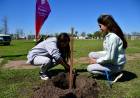 El Vivero Municipal de San Francisco intervino en la forestación del Polideportivo de Frontera