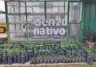 Vivero Municipal: Un laboratorio de especies arbóreas que llama la atención de la comunidad