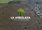Comienzan las obras de urbanización en La Arbolada, el loteo más importante de la ciudad