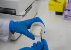 Córdoba avanza en el desarrollo de miel en polvo para potenciar el agregado de valor a la producción apícola