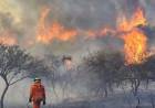 El riesgo de incendios forestales será extremo toda la semana