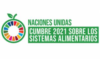 Fernández participa de la Cumbre de las Naciones Unidas sobre Sistemas Alimentarios 2021