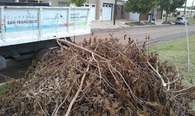 El municipio intensifica tareas para erradicar minibasurales