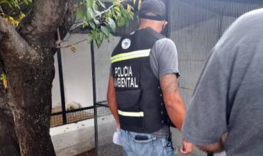 Policía Ambiental rescató 24 aves de una vivienda en La Calera