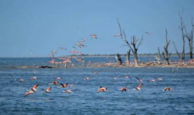 En febrero el Congreso tratará la creación del Parque Nacional Ansenuza