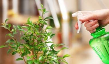 Agua oxigenada, un excelente fertilizante para el jardín