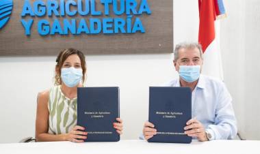 Apoyarán a productores del interior para que puedan participar en Ferias Populares