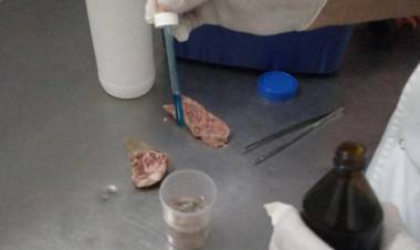 El municipio avanzan en los controles a las carnicerías