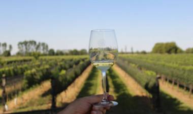 Colonia Caroya propone a los turistas, sus caminos del vino 