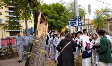 El municipio puso en marcha el Censo de Arbolado Urbano San Francisco 2022