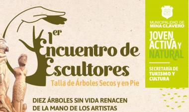 Mina Clavero: Encuentro de escultores de árboles secos