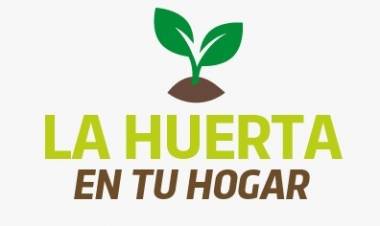 Programa: La huerta en tu hogar
