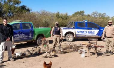 Tulumba: Rescatan 24 tortugas de la tenencia ilegal