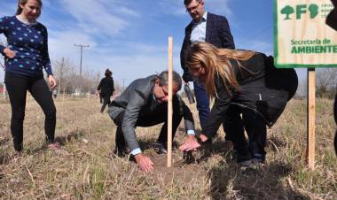 Se plantaron mil ejemplares de algarrobos en el Parque Industrial