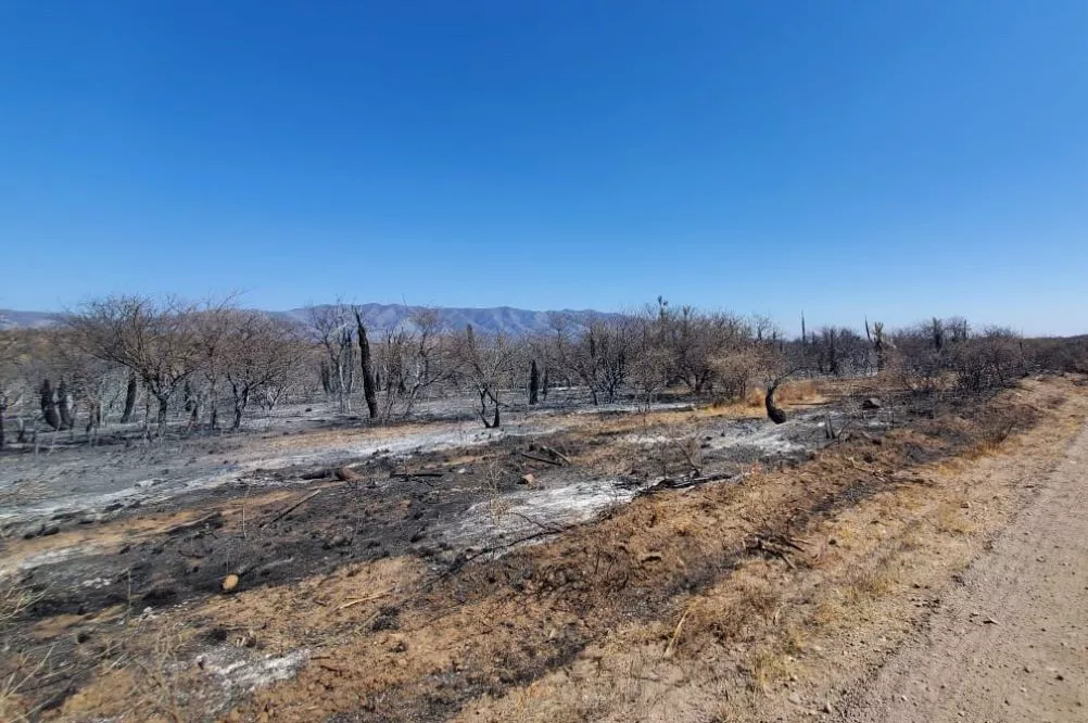 En Tala Cañada el incendio está activo y trabajan 120 bomberos