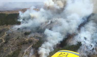 En 2022, se registraron 442 incendios forestales en la provincia de Córdoba