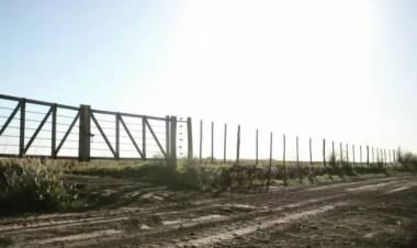 Nación homologó la emergencia para campos productivos de Córdoba