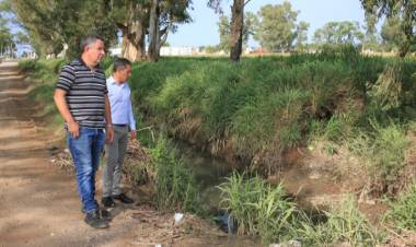 “Los canales funcionaron de manera óptima y en pocas horas el agua estaba evacuada"