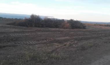 Policía Ambiental paralizó un desmonte en la localidad de San Vicente