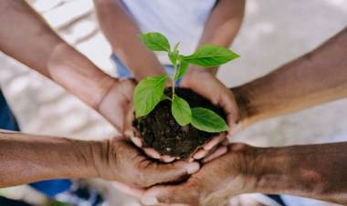Comienza el ciclo de charlas virtuales sobre ambiente