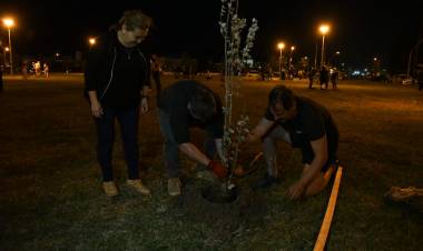Se plantaron 60 árboles en la Plaza de las Iglesias Cristianas Evangélicas