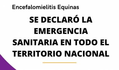 Emergencia sanitaria en todo el país por Encefalomielitis Equina