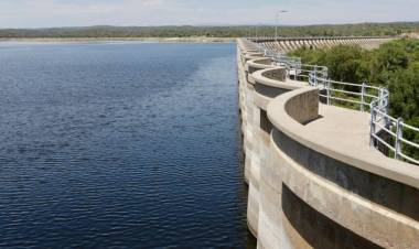 Mortandad de peces: se determinó que la causa fue una disminución del oxígeno, provocado por las altas temperaturas