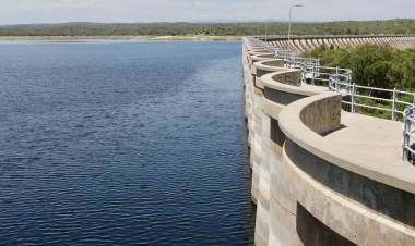 Mortandad de peces: se determinó que la causa fue una disminución del oxígeno, provocado por las altas temperaturas