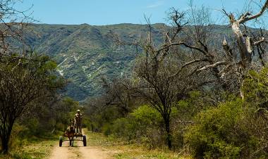 Pago por Servicios Ambientales: convocatoria para propietarios de tierras con bosque nativo