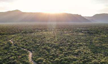 Turismo ecológico: la reserva forestal Chancaní ofrece 5 mil hectáreas de ecosistemas diversos