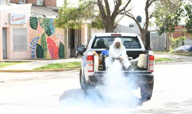 Dengue: el municipio intensifica las acciones de prevención y el control para combatir el mosquito