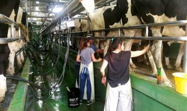 San Francisco sigue consolidándose como Ciudad de Eventos