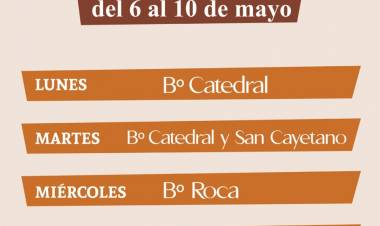 Continúa la campaña de recolección de hojas en la vía pública