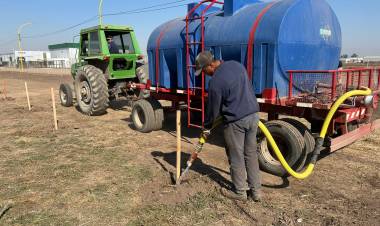 Se plantaron 500 ejemplares de especies autóctonas en el Parque Industrial