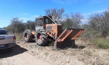 Policía Ambiental frenó un desmonte en Sebastián Elcano