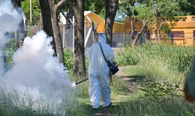 Continúan los trabajos preventivos contra el dengue