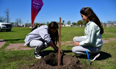 El Vivero Municipal de San Francisco intervino en la forestación del Polideportivo de Frontera