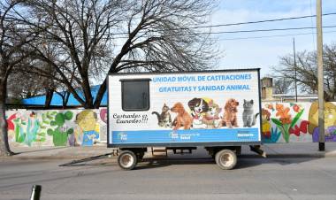 San Francisco es la segunda ciudad del interior provincial en cantidad de animales castrados