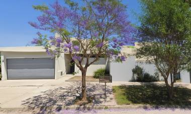 El municipio recuerda la vigencia de las ordenanzas sobre arbolado urbano